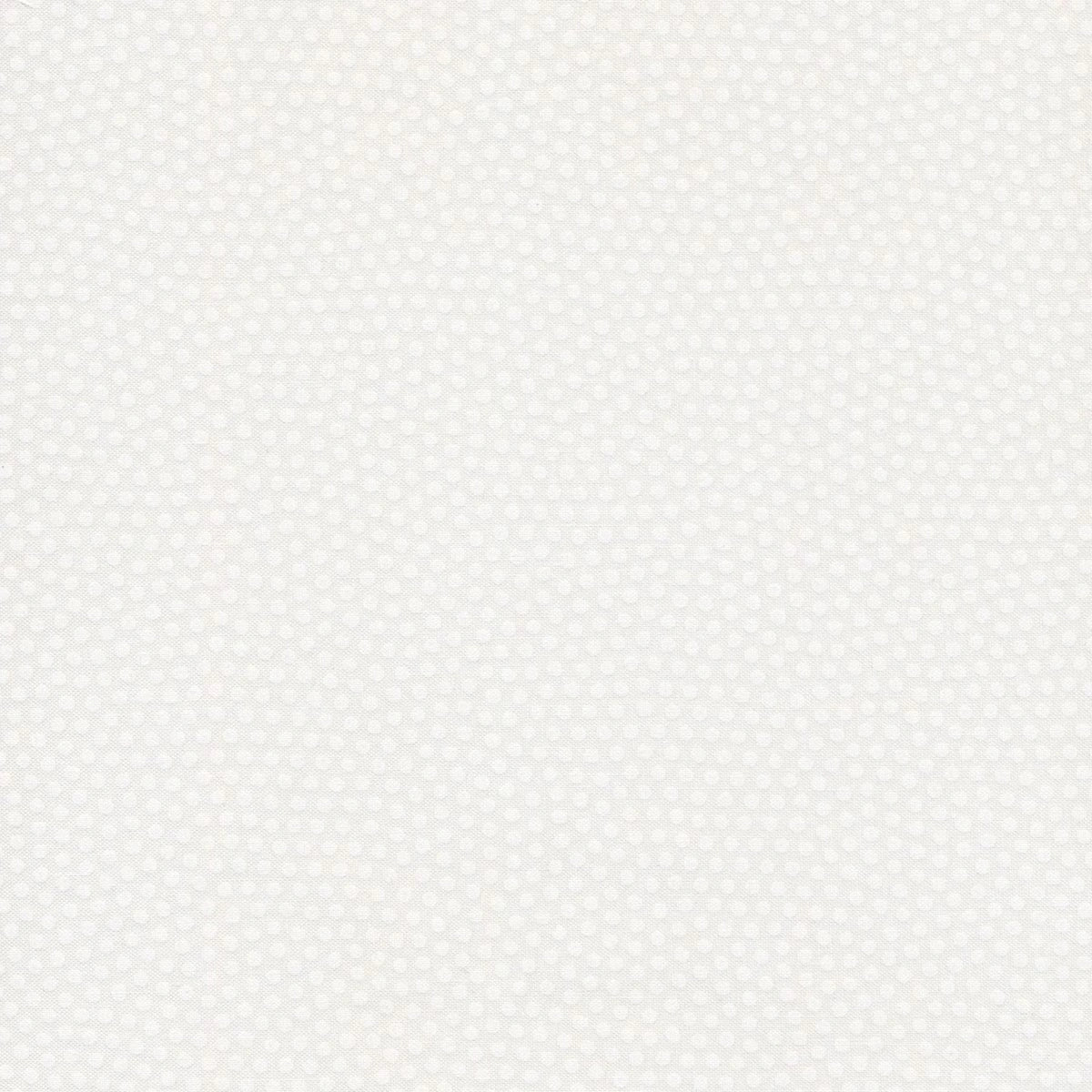 Basically Black & White Spotty Fabric White on White Yardage