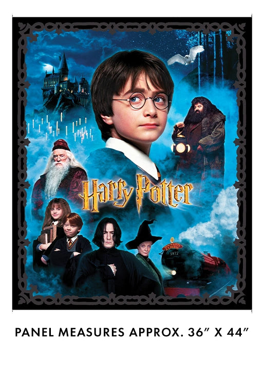 Harry Potter Panel Multi 36" x 44"
