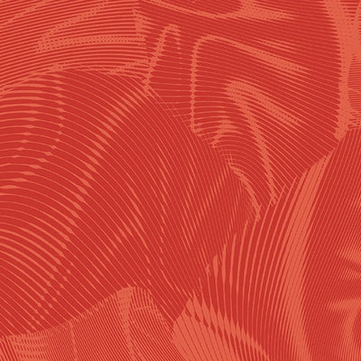 Echo Orange Fabric Yardage