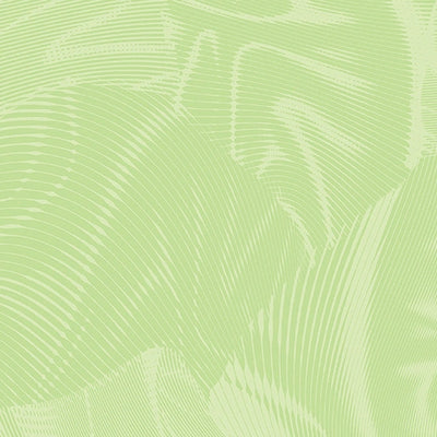 Echo Pale Green Fabric Yardage