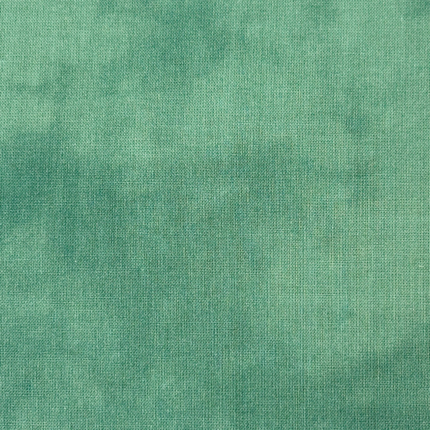 A close-up of Palette Tidepool Fabric Yardage shows green textured fabric with a subtle mottled pattern, fine lines, and slightly uneven coloration.