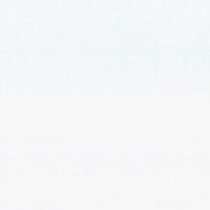 120" Wide 200 Count Warm White Quilt Backing Fabric