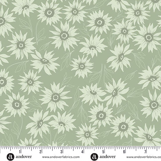 Color Me Whispered Sage Green Marguerite Mist Fabric Yardage by Andover features light sage green quilting cotton with a repeating pattern of cream sunflowers and leaves, shown with an Andover ruler for precise measurement.
