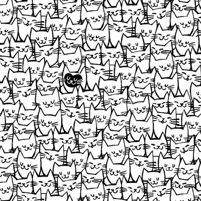 Cat Happy 108" Wide Quilt Backing Fabric