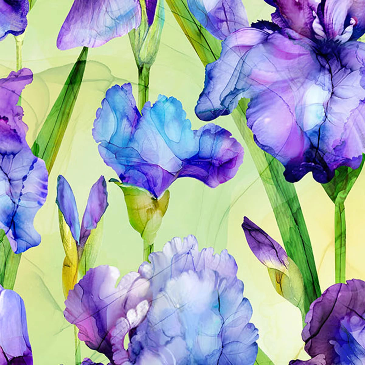 Infatuation Iris Green Fabric Yardage by Northcott features watercolor-style purple and blue iris flowers with green stems on a soft yellow-green background, creating a vibrant, overlapping floral pattern perfect for cotton yardage projects.