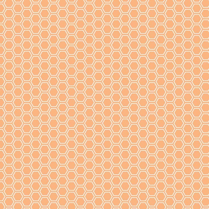 Kimberbell Basics Refreshed Honeycomb Orange Fabric Yardage