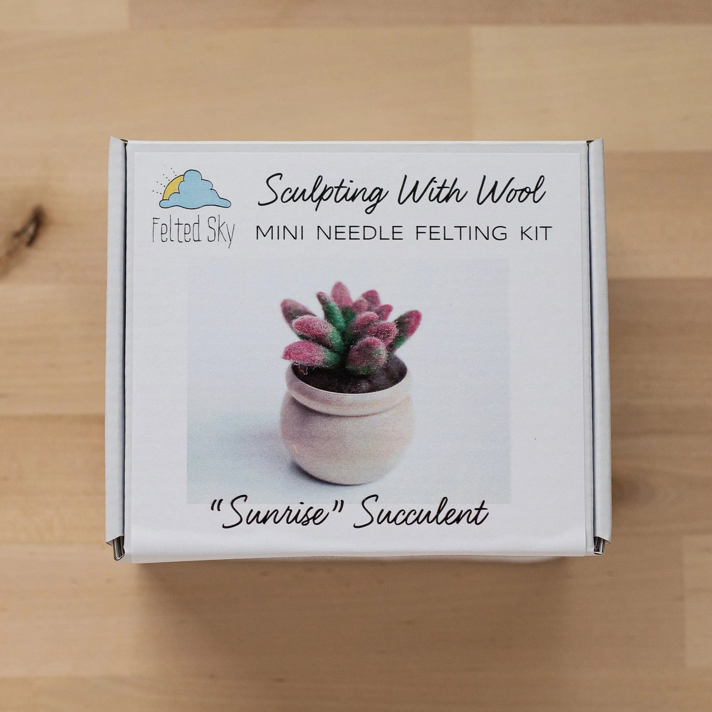 Sunrise Succulent Mini Needle Felting Kit