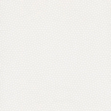 Basically Black & White Spotty Fabric White on White Yardage