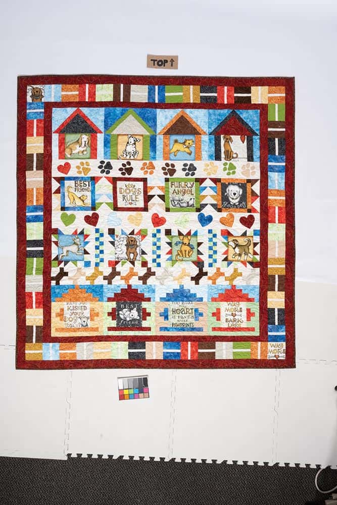 Playful Panel Quilts