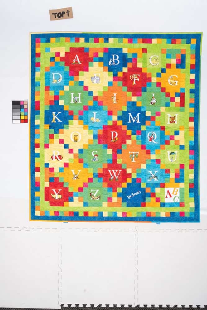 Playful Panel Quilts