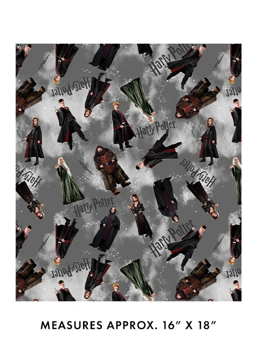 Harry Potter Characters Gray Fabric Yardage