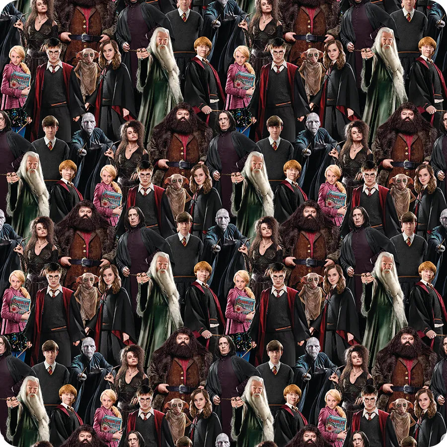The Benartex Harry Potter Multi Characters 108" Wide 3 Yard Quilt Fabric Back Pack features iconic wizards, witches, and magical creatures on a plain background—ideal for wide quilt backing on themed projects.