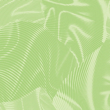 Echo Light Green Fabric Yardage - quilt fabric for sewing and quilting projects