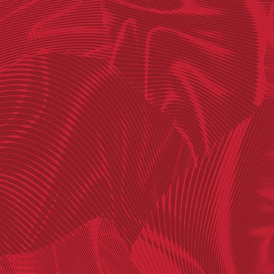 Echo Red Fabric Yardage