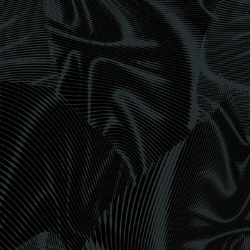 Echo Black Fabric Yardage - quilt fabric for sewing and quilting projects