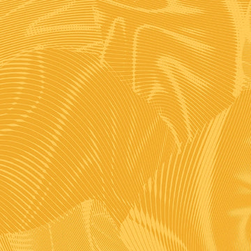 Echo Sun Yellow Fabric Yardage - quilt fabric for sewing and quilting projects
