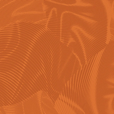 Echo Pumpkin Fabric Yardage