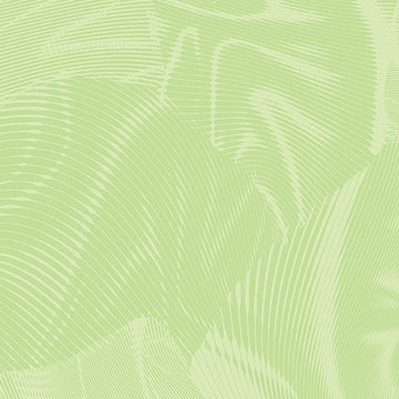 Echo Pale Green Fabric Yardage - quilt fabric for sewing and quilting projects