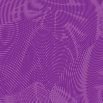 Echo Violet Fabric Yardage - quilt fabric for sewing and quilting projects