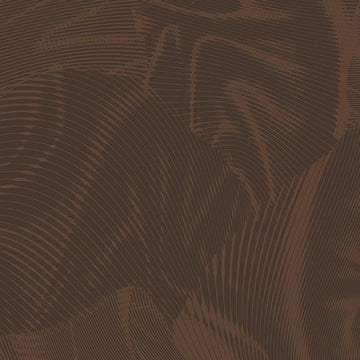Echo Medium Brown Fabric Yardage - quilt fabric for sewing and quilting projects