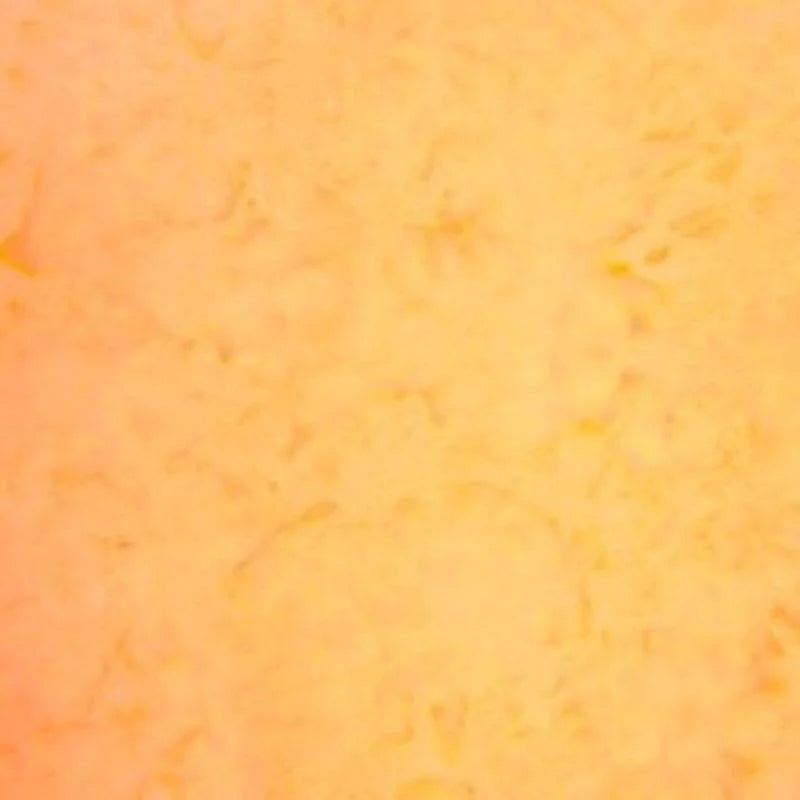 Close-up of 1895 Watercolors Tutti Fruitti Batik Fabric Yardage by Hoffman Fabrics, featuring a textured orange-yellow surface with subtle color variations and small irregular spots reminiscent of traditional batik.