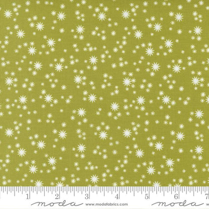 Joyful Joyful Field North Star Fabric Yardage