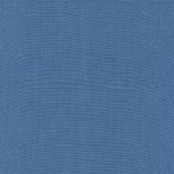 Another Point of View Blue Stone Fabric Yardage