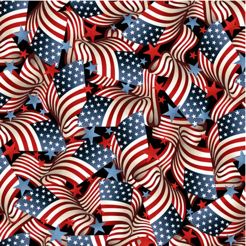 Flag Day 118" Wide Quilt Backing Fabric Product Photo