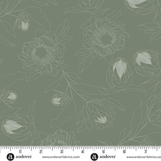 Color Me Whispered Olive Green Protea Whisper Fabric Yardage by Andover features delicate protea flower line drawings on quilting cotton, with a ruler and the Andover logo along the bottom for precise measurement.
