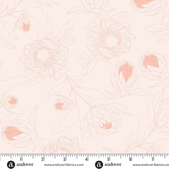 Color Me Whispered Light Salmon Protea Whisper fabric by Andover is a pale pink quilting cotton with large floral and leaf patterns, soft coral accents, and a ruler showing 0–12 inches. Andover branding is visible.