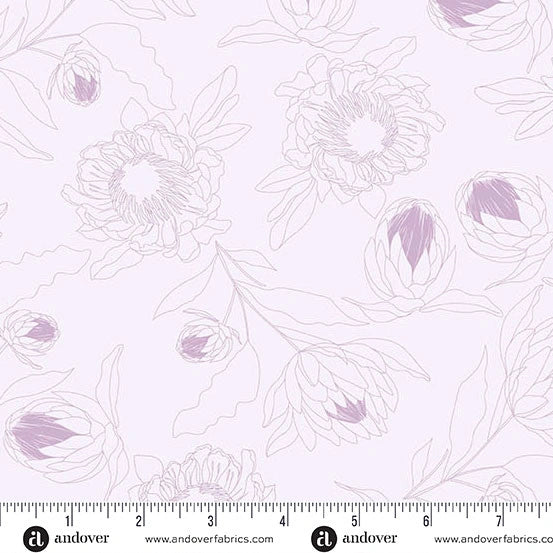 The Color Me Whispered Periwinkle Protea Whisper Fabric Yardage by Andover features pale lavender protea flower line drawings with purple-shaded petals on a light pink background. A ruler marked in inches runs along the bottom edge.