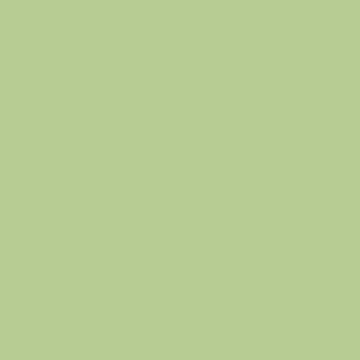 A plain background in solid light green, similar to Riley Blake Confetti Cotton™ Honeydew Solid Fabric Yardage. No visible objects, patterns, or text.