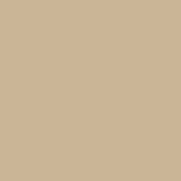 A smooth, light tan background inspired by Riley Blake's Confetti Cotton™ Palomino Solid Fabric Yardage, echoing the soft finish of premium quilting cotton with no patterns or text.