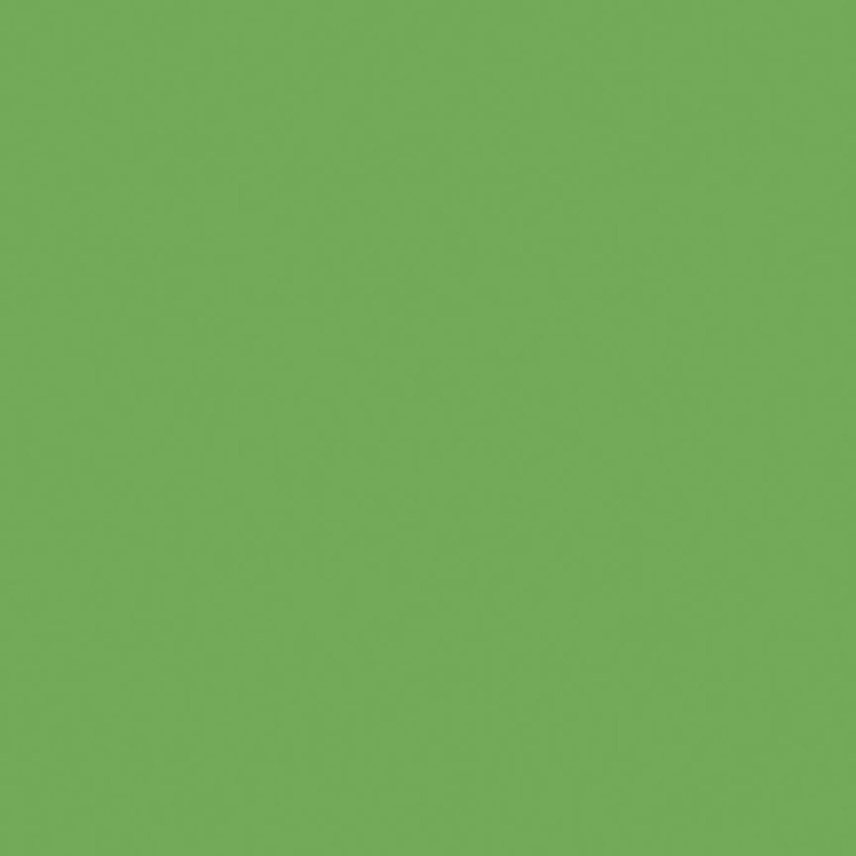 A solid background in muted, medium green—reminiscent of Confetti Cotton Riley Green Fabric Yardage by Riley Blake. The surface is uniform, with no patterns, objects, or text visible.