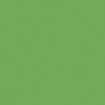 The image is filled with a solid Riley Blake Confetti Cotton™ Riley Green shade, showing no patterns or textures—just pure, unbroken color from the Confetti Cotton™ Riley Green Solid Fabric Yardage.