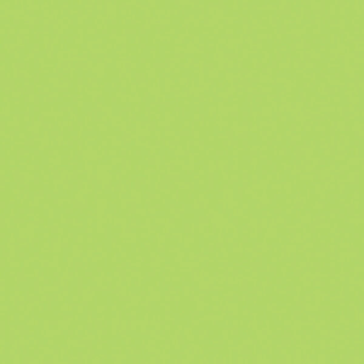 A green rectangle with white dots, made from Riley Blake's Confetti Cotton Wasabi Fabric Yardage, ideal for quilting and cotton projects.