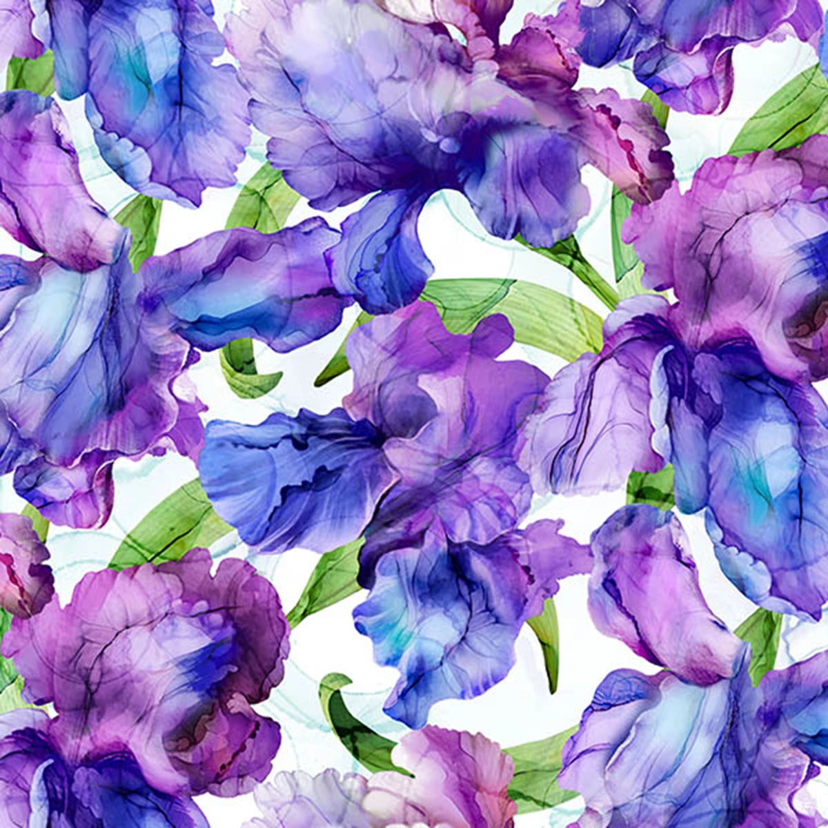 Infatuation Packed Iris White Fabric Yardage by Northcott features a seamless watercolor pattern of vibrant purple and blue irises with green leaves on white, creating a lush, colorful floral fabric design perfect for your projects.