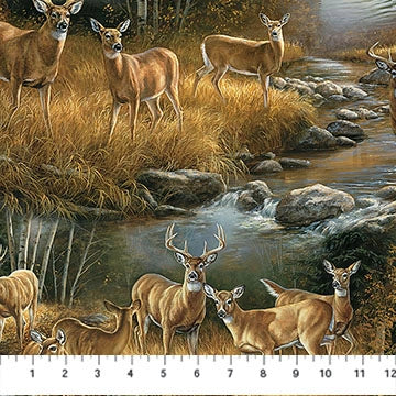 Birchwood Naturescapes Tan Multi Scenic Fabric Yardage by Northcott