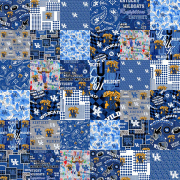 University of Kentucky Cheater 60" Wide Quilt Backing Fabric