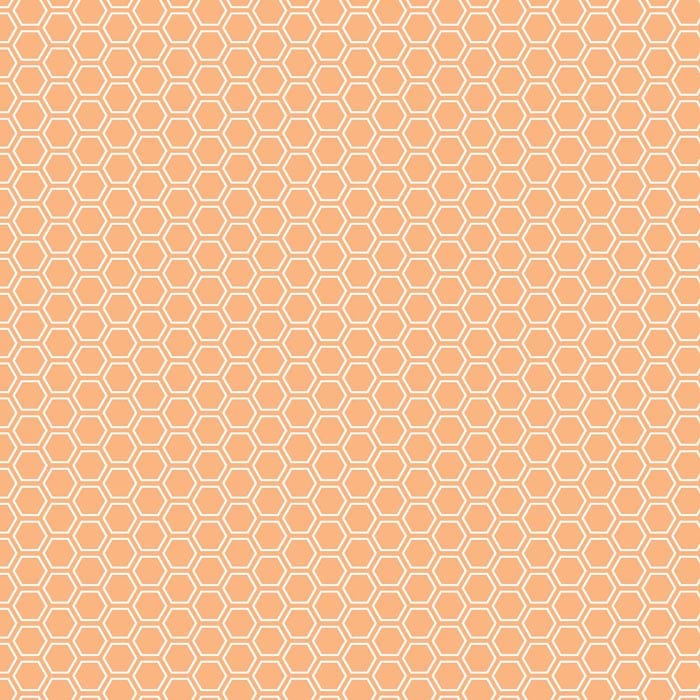 Kimberbell Basics Refreshed Honeycomb Orange Fabric Yardage