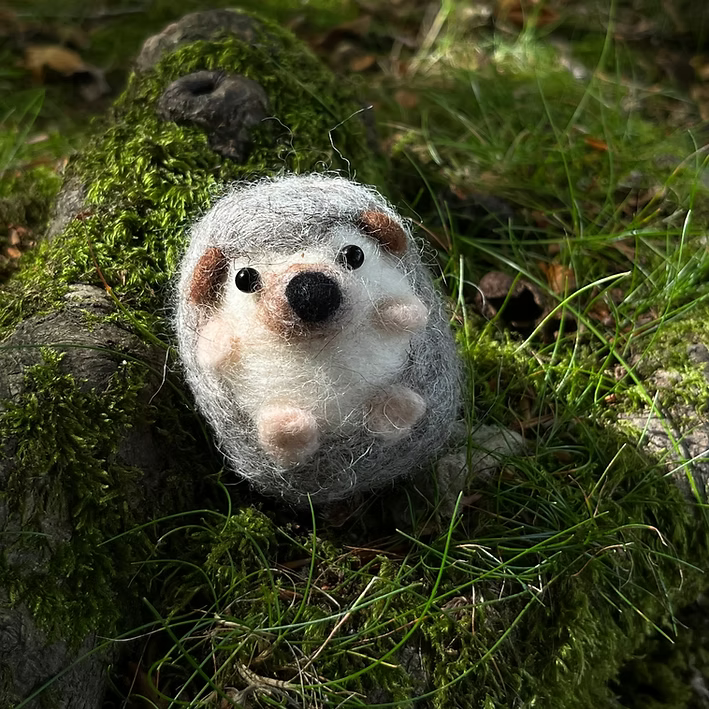 Hedgehog Needle Felting Kit