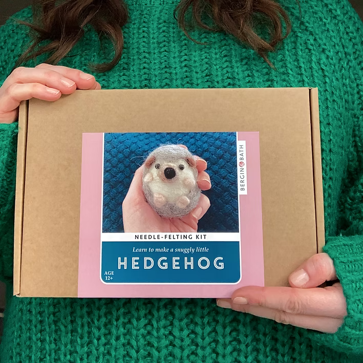 Hedgehog Needle Felting Kit