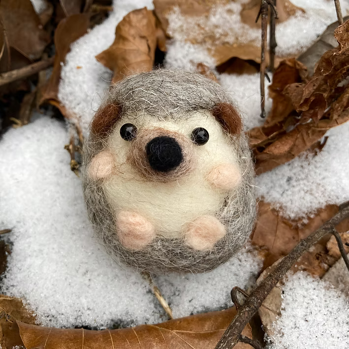Hedgehog Needle Felting Kit