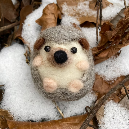 Hedgehog Needle Felting Kit