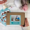 Mouse Needle Felting Kit 2ct