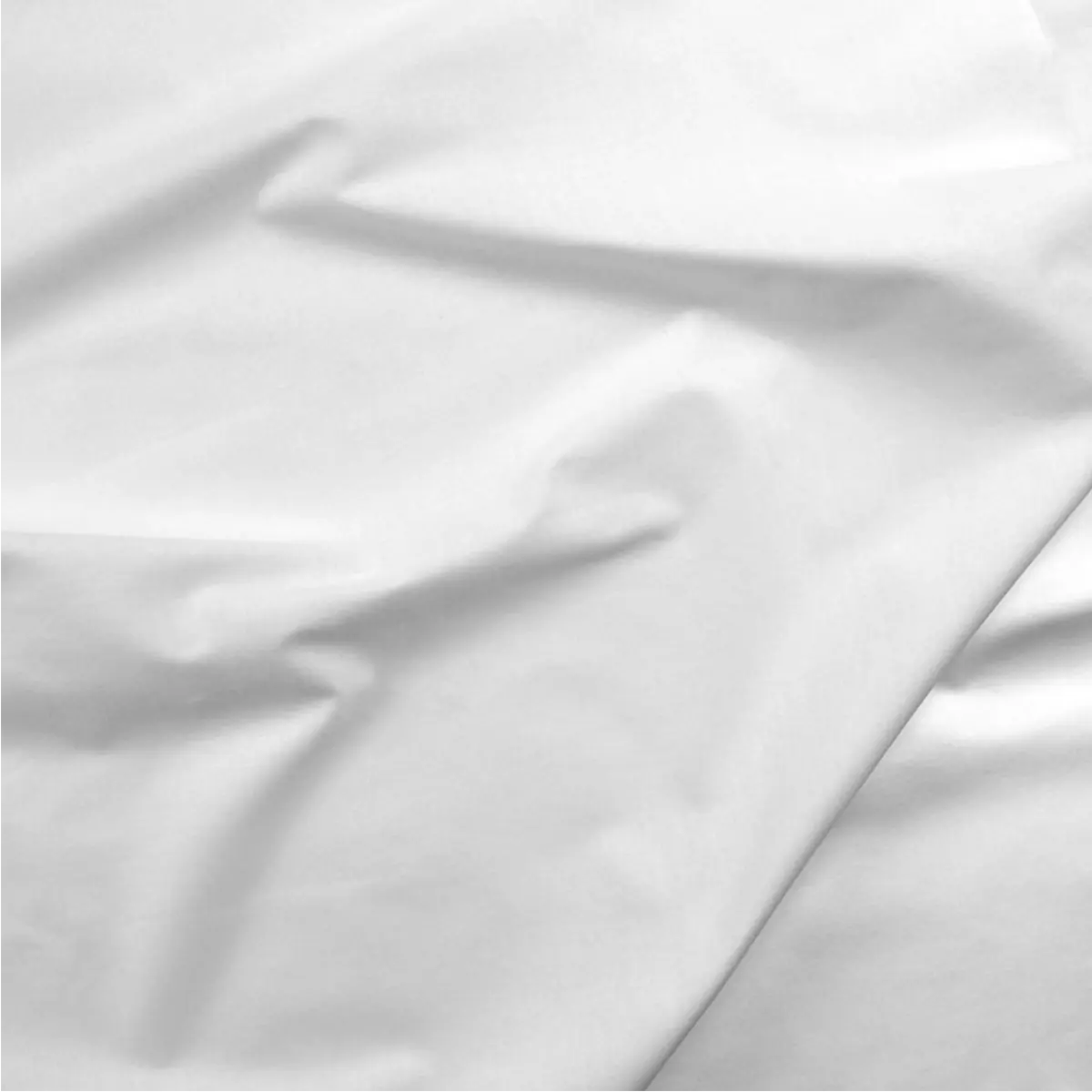 https://quiltedjoy.com/cdn/shop/files/Paintbrush_Cotton_Sateen_White_118-19100.webp?v=1741272265