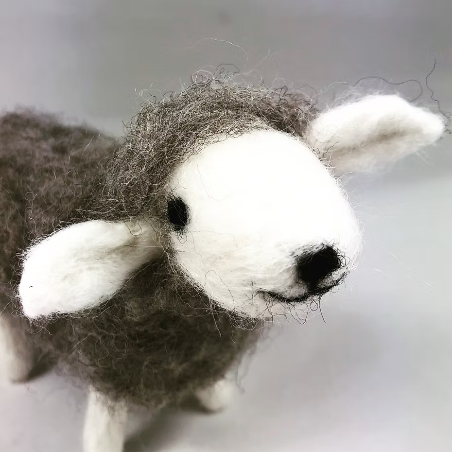 A close-up of the Feather Felts Grey Sheep - Needle Felting Kit No Foam shows a wool felt sheep with a white face, black nose, and fuzzy gray wool on its body and head, set against a plain gray background.