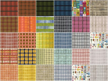 A grid of 30 “The Plaid One 10" Squares” by Windham Fabrics, arranged in five rows and six columns; most are plaid, with a few featuring colorful geometric designs.