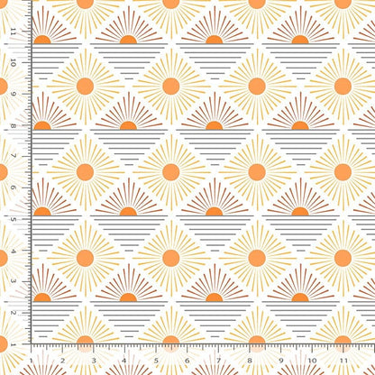 Rays on White 108" Wide 3 Yard Quilt Fabric Back Pack