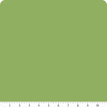 Riley Blake Confetti Cotton Basil solid green quilting fabric yardage